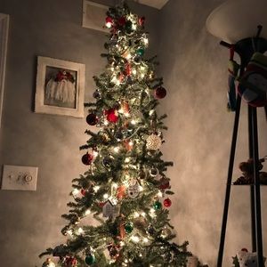 Meet your Posher, Marlene